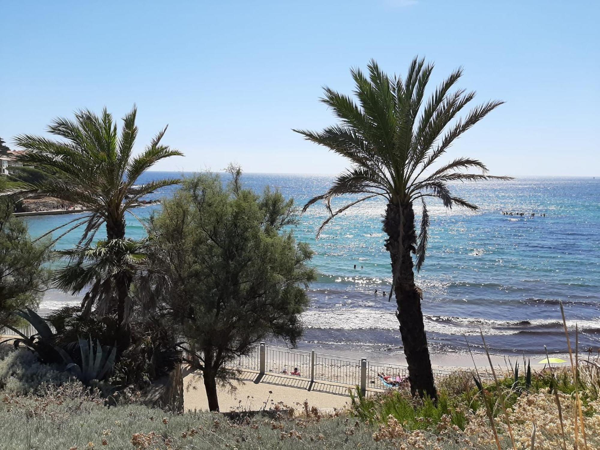 Sanary- La Vie Est Belle- Centre Ville 2 Minutes A Pied- Plage 5 Minutes Dış mekan fotoğraf